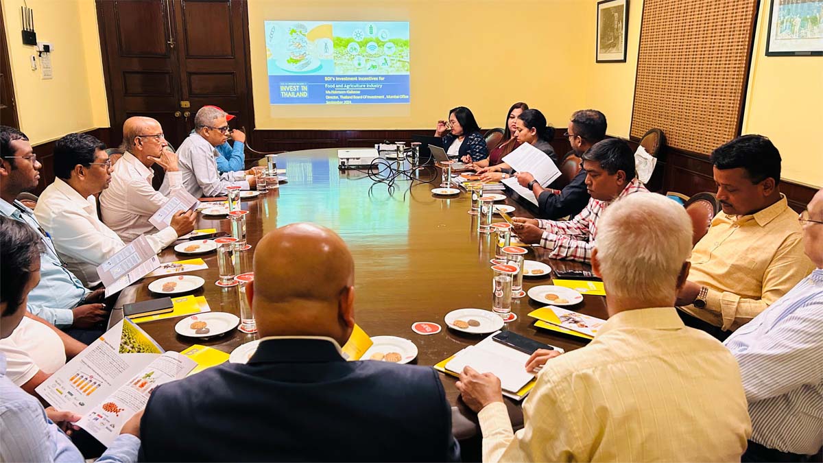 Interactive Session in progress.